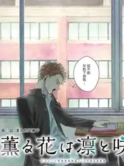 声音修理铺 音乐治愈综艺全集免费看